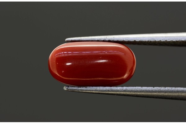 3.77 cts Natural Coral (Moonga)