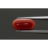 3.77 cts Natural Coral (Moonga)