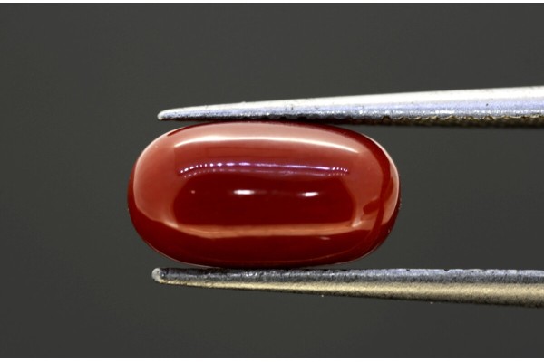 3.94 cts Natural Coral (Moonga)