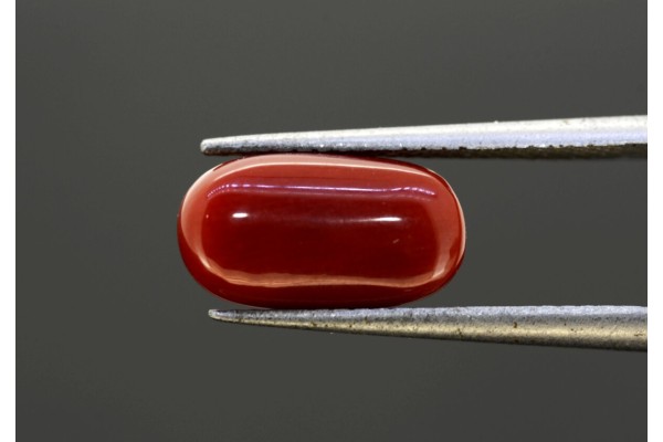 3.94 cts Natural Coral (Moonga)