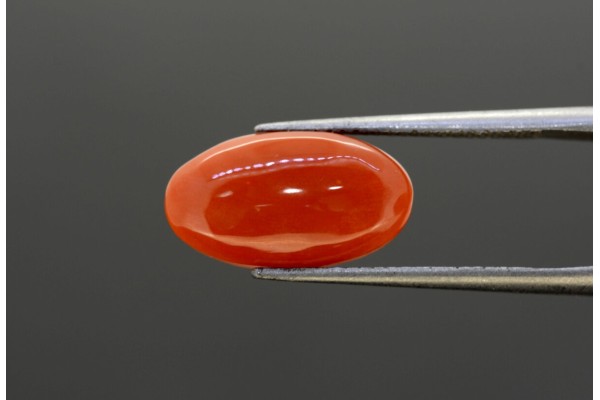3.6 cts Natural Coral (Moonga)