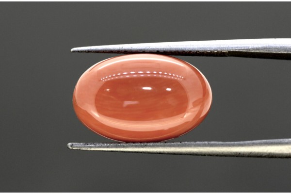 7.67 cts Natural Coral (Moonga)