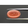7.67 cts Natural Coral (Moonga)