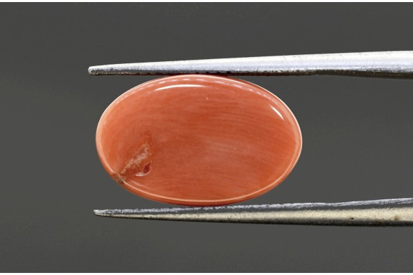 7.67 cts Natural Coral (Moonga)