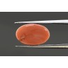 7.67 cts Natural Coral (Moonga)