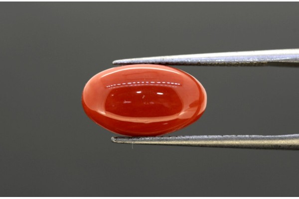 4.09 cts Natural Coral (Moonga)