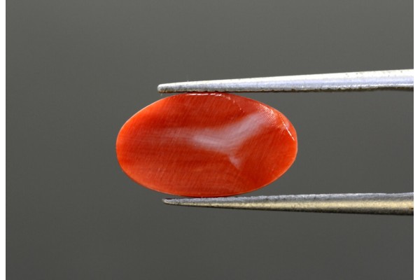 4.09 cts Natural Coral (Moonga)