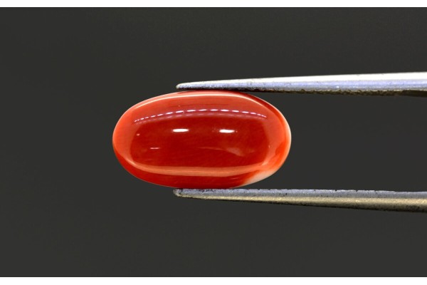 2.42 cts Natural Coral (Moonga)