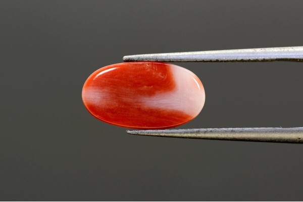 2.42 cts Natural Coral (Moonga)