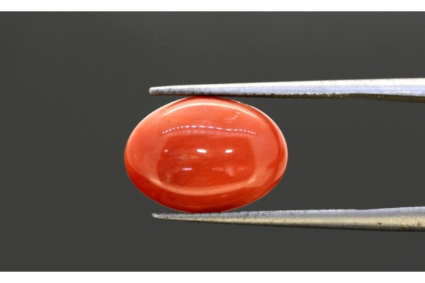 4.91 cts Natural Coral (Moonga)