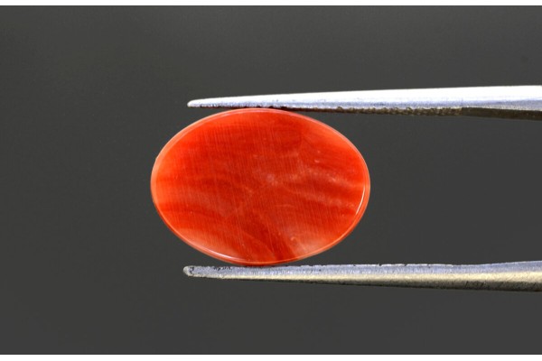 4.91 cts Natural Coral (Moonga)