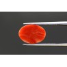 4.91 cts Natural Coral (Moonga)