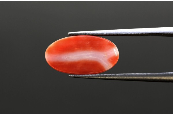 4.67 cts Natural Coral (Moonga)
