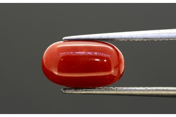 4.43 cts Natural Coral (Moonga)