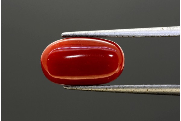 4.43 cts Natural Coral (Moonga)