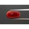 4.43 cts Natural Coral (Moonga)