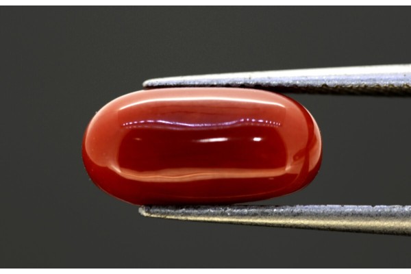 4.18 cts Natural Coral (Moonga)