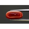 4.18 cts Natural Coral (Moonga)