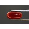 4.18 cts Natural Coral (Moonga)