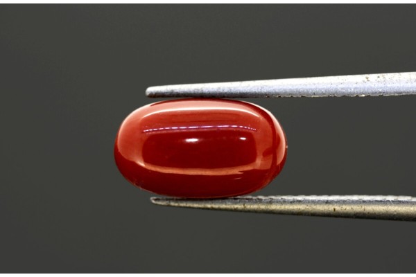 3.9 cts Natural Coral (Moonga)