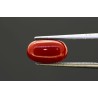 3.9 cts Natural Coral (Moonga)