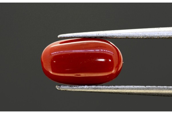 3.9 cts Natural Coral (Moonga)
