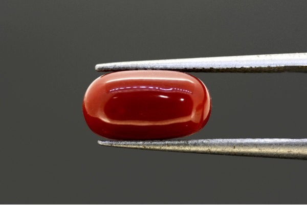 3.77 cts Natural Coral (Moonga)