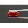 3.77 cts Natural Coral (Moonga)
