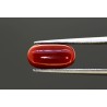 3.77 cts Natural Coral (Moonga)