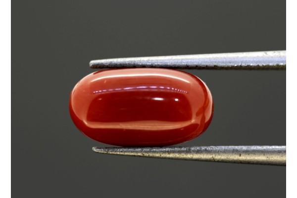 3.95 cts Natural Coral (Moonga)