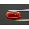 3.95 cts Natural Coral (Moonga)