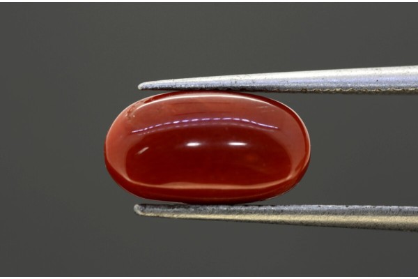 3.95 cts Natural Coral (Moonga)