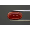 3.95 cts Natural Coral (Moonga)