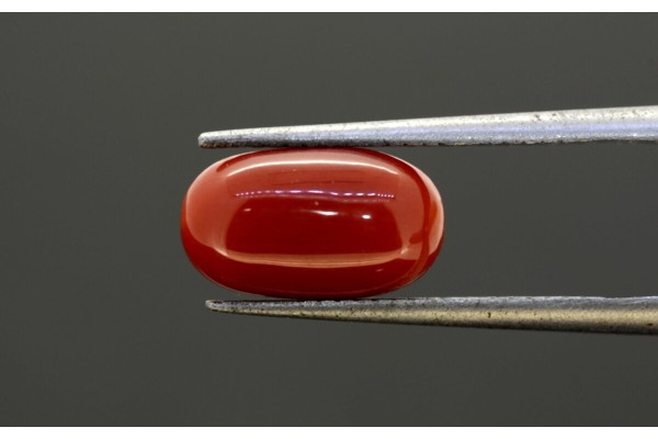 3.63 cts Natural Coral (Moonga)