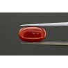 3.63 cts Natural Coral (Moonga)