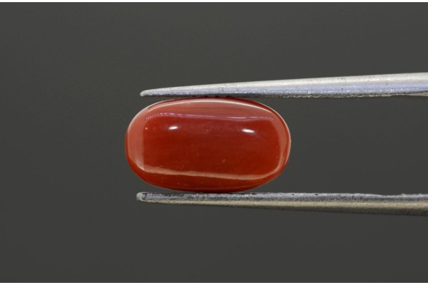 3.63 cts Natural Coral (Moonga)