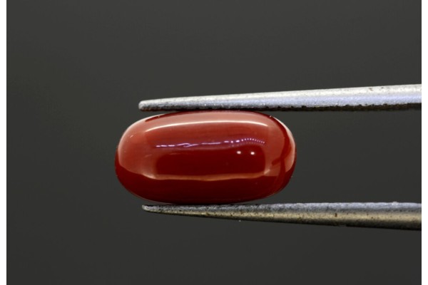 3.55 cts Natural Coral (Moonga)