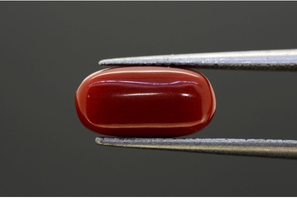 3.55 cts Natural Coral (Moonga)