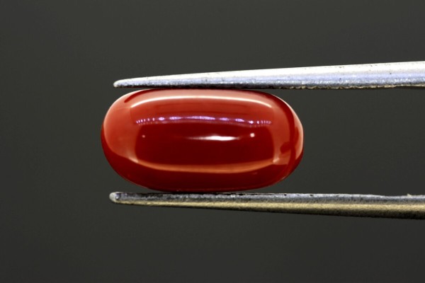 4.2 cts Natural Coral (Moonga)