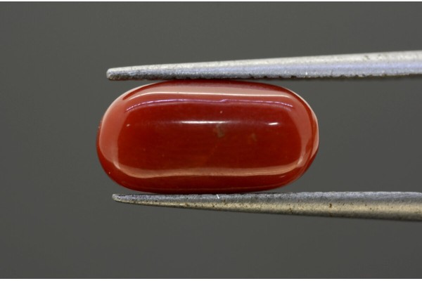 4.2 cts Natural Coral (Moonga)