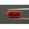 4.2 cts Natural Coral (Moonga)