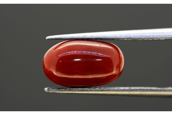 4.12 cts Natural Coral (Moonga)