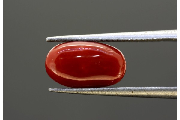 4.12 cts Natural Coral (Moonga)
