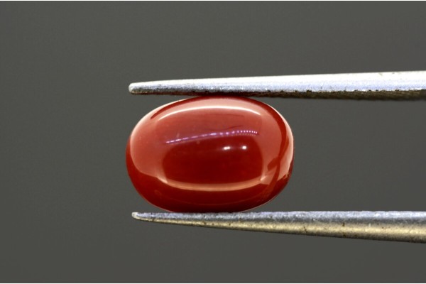 3.47 cts Natural Coral (Moonga)