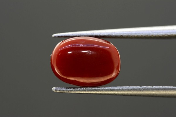 3.47 cts Natural Coral (Moonga)