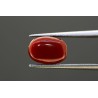 3.47 cts Natural Coral (Moonga)