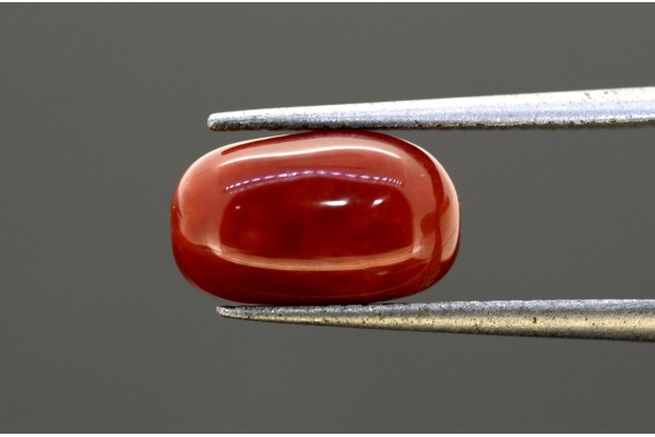 3.88 cts Natural Coral (Moonga)