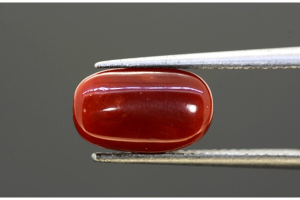 3.88 cts Natural Coral (Moonga)