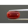 3.88 cts Natural Coral (Moonga)