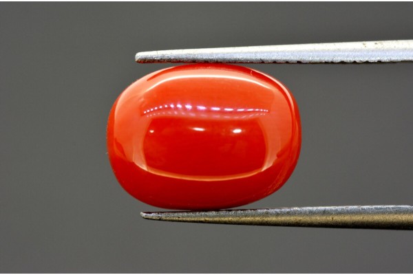 6.74 cts Natural Coral (Moonga)
